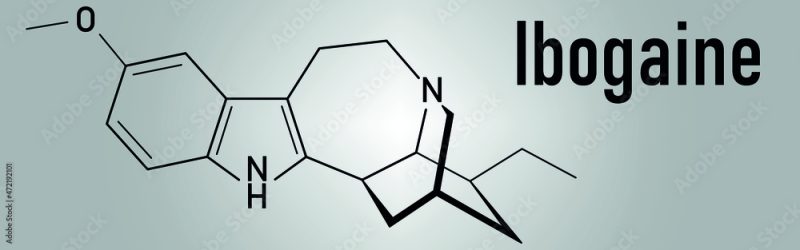 The Rising Demand for Ibogaine Therapy